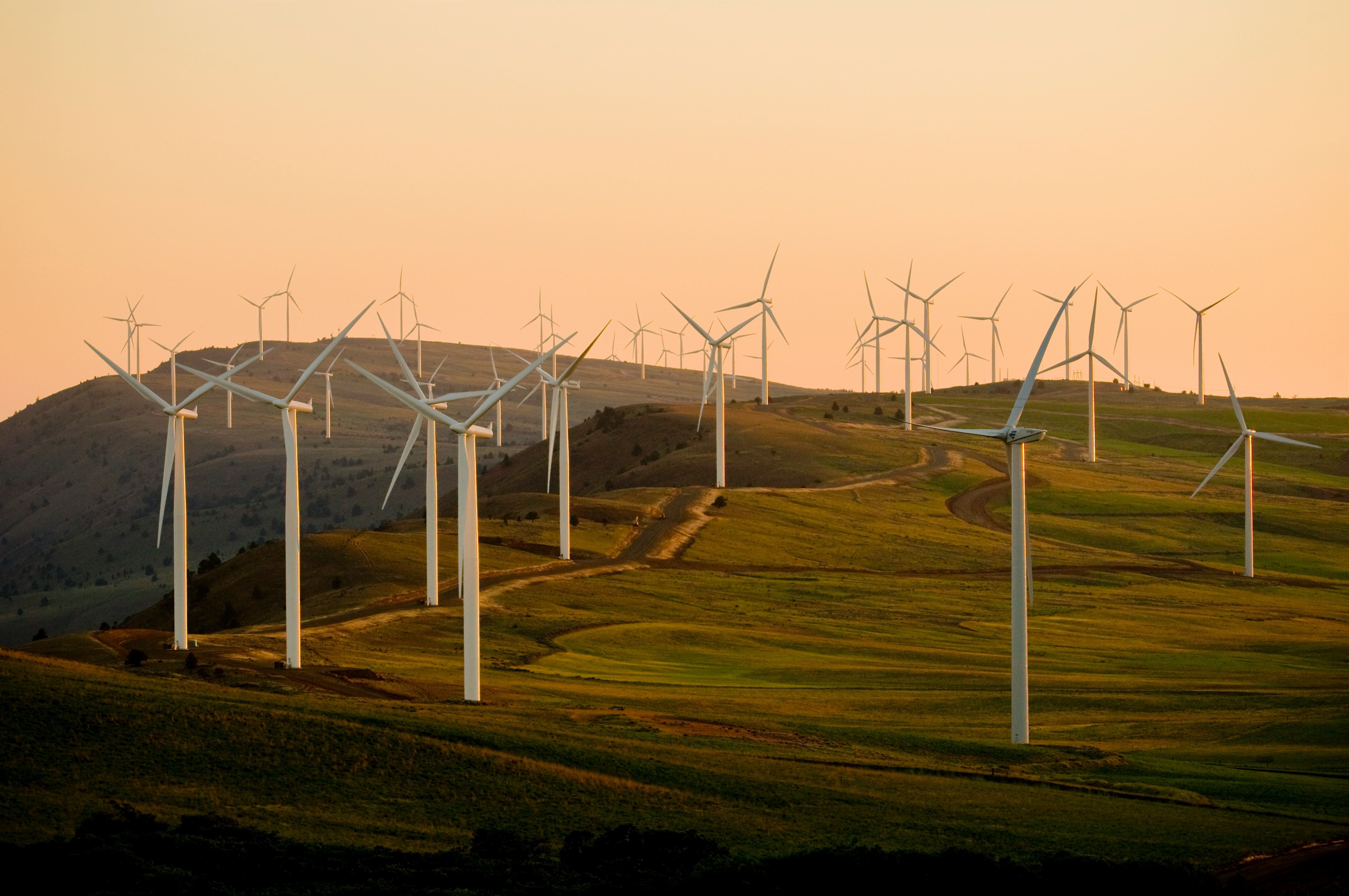 Energy and climate consulting